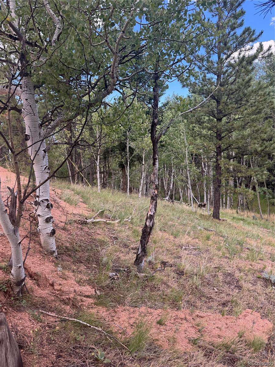 0.3 Acres of Residential Land for Sale in Woodland Park, Colorado