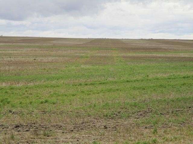 80 Acres of Agricultural Land for Sale in Sarles, North Dakota