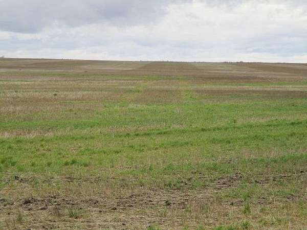 80 Acres of Agricultural Land for Sale in Sarles, North Dakota