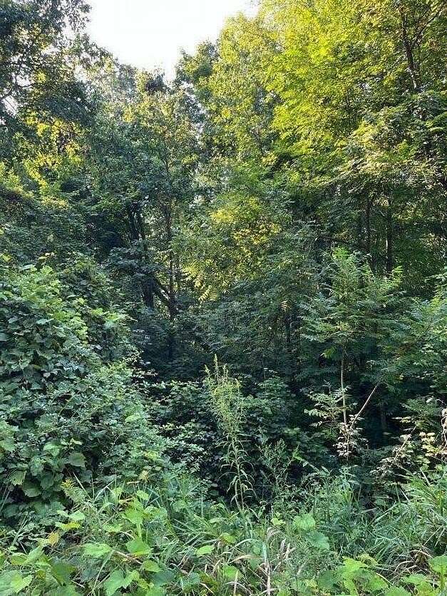 0.83 Acres of Land for Sale in Delton, Michigan