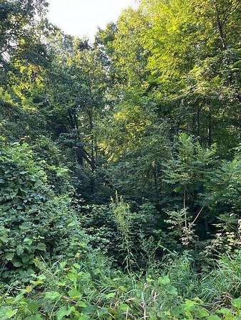 0.83 Acres of Land for Sale in Delton, Michigan