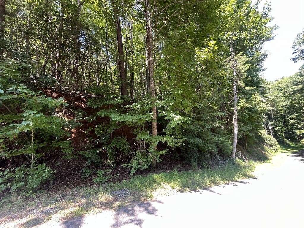 0.49 Acres of Residential Land for Sale in Ellijay, Georgia
