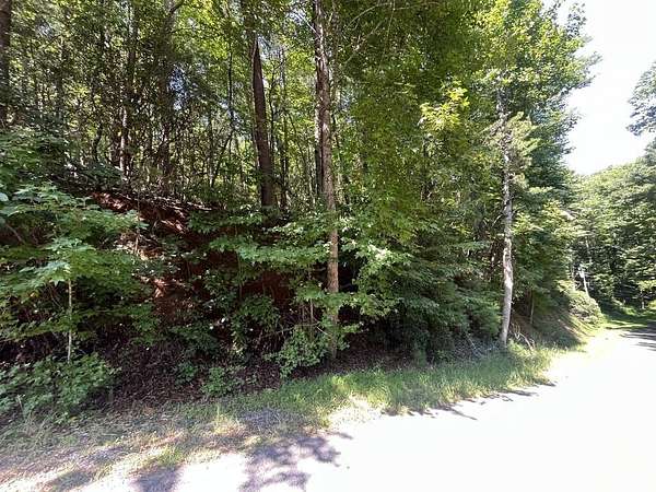 0.49 Acres of Residential Land for Sale in Ellijay, Georgia