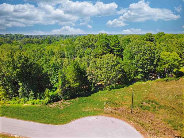 4.89 Acres of Residential Land for Sale in Winona, Texas