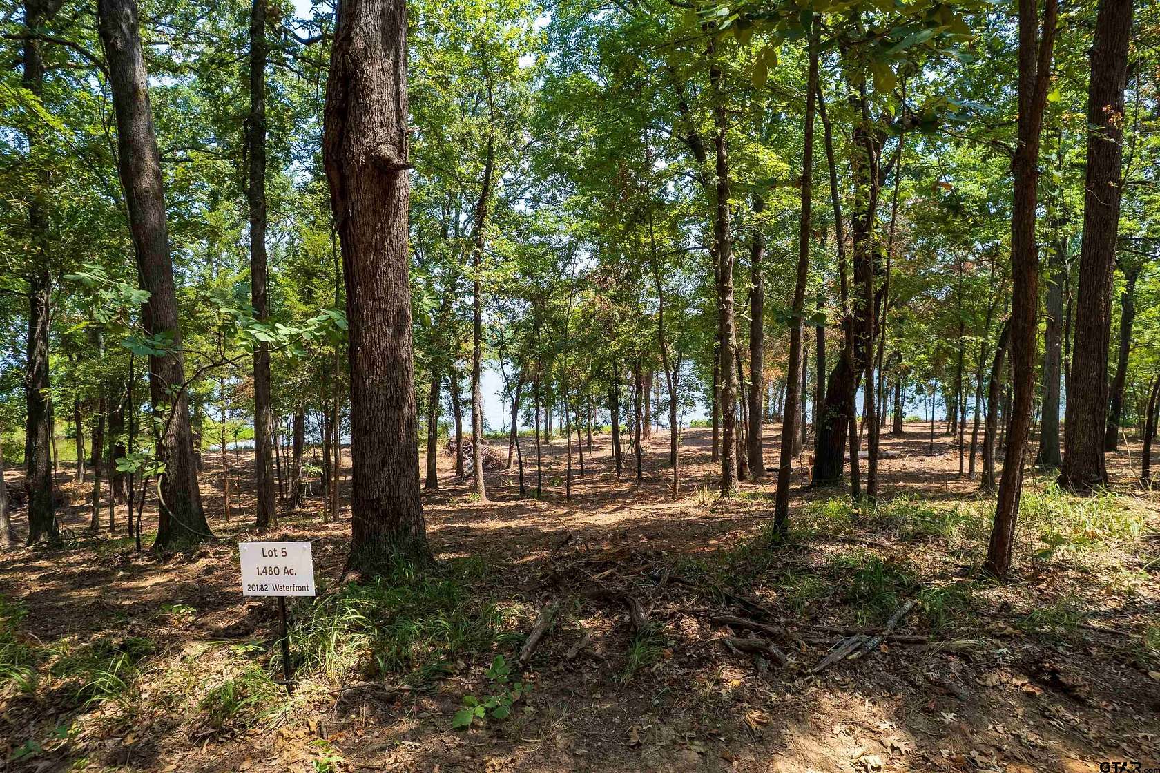 1.48 Acres of Residential Land for Sale in Leesburg, Texas