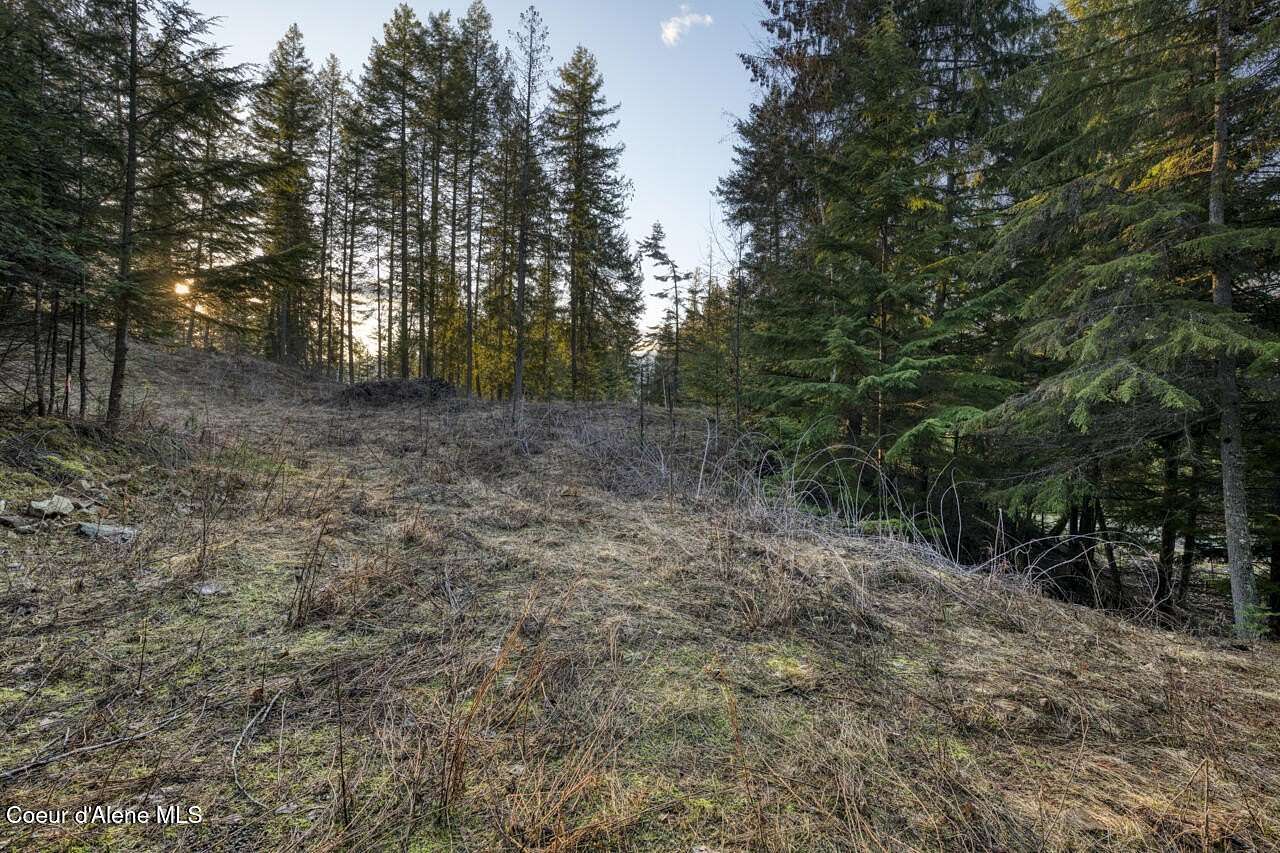 0.53 Acres of Residential Land for Sale in Sandpoint, Idaho
