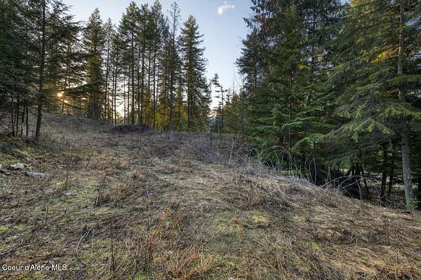 0.53 Acres of Residential Land for Sale in Sandpoint, Idaho