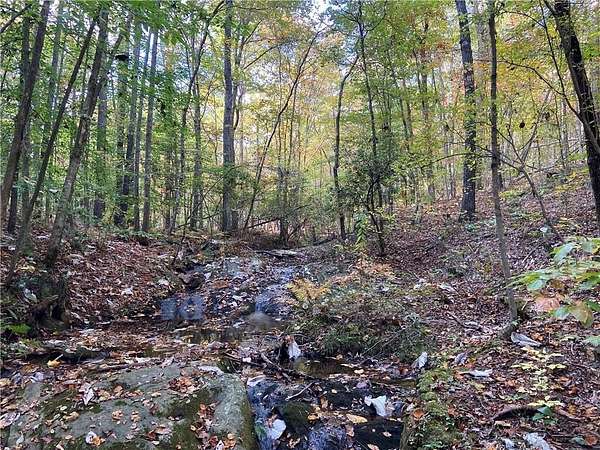 10.5 Acres of Land for Sale in Dallas, Georgia