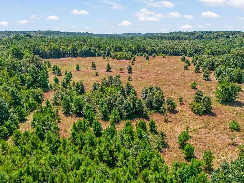 120 Acres of Recreational & Residential Land for Sale in Pittsburg, Texas