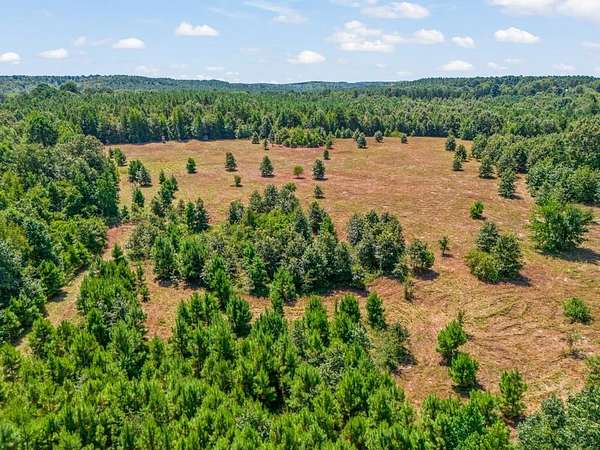 120 Acres of Recreational & Residential Land for Sale in Pittsburg, Texas