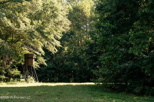 208 Acres of Recreational Land for Sale in Benton, Mississippi