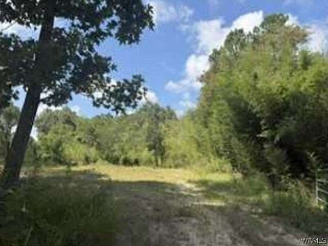 1.2 Acres of Land for Sale in Millry, Alabama