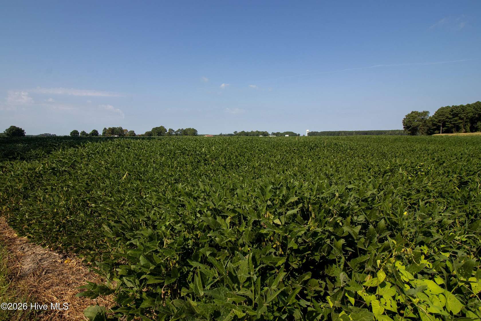 12.5 Acres of Land for Sale in Hertford, North Carolina