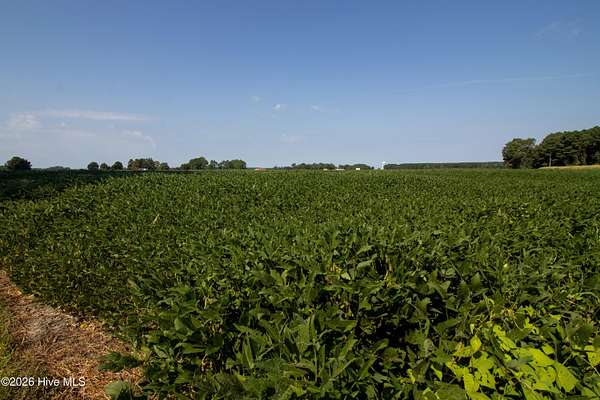 12.5 Acres of Land for Sale in Hertford, North Carolina