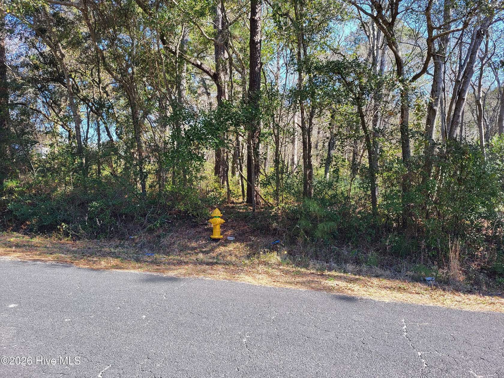 3.9 Acres of Land for Sale in Supply, North Carolina