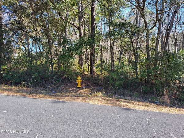 3.9 Acres of Land for Sale in Supply, North Carolina