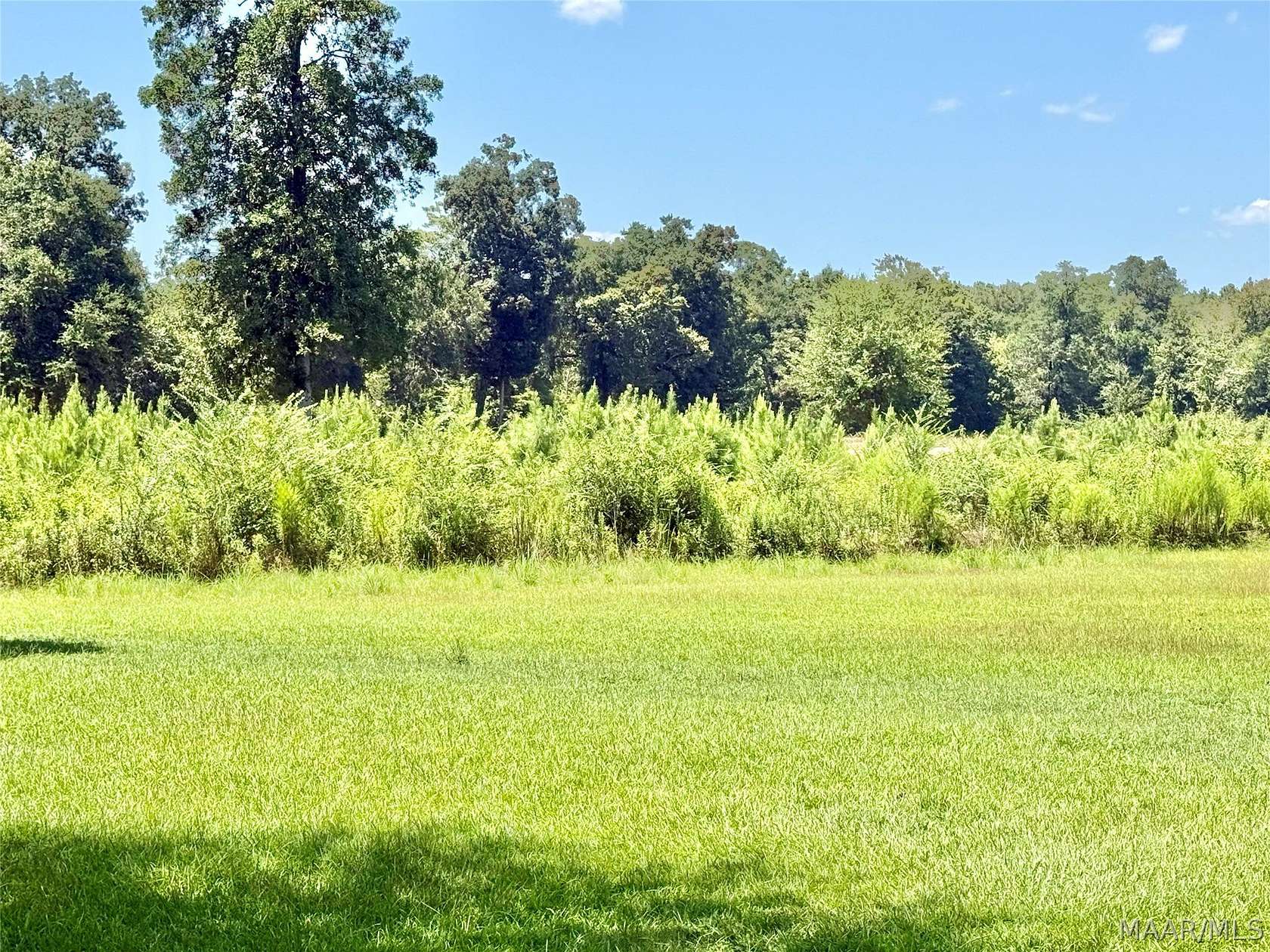 9.77 Acres of Residential Land for Sale in Valley Grande, Alabama