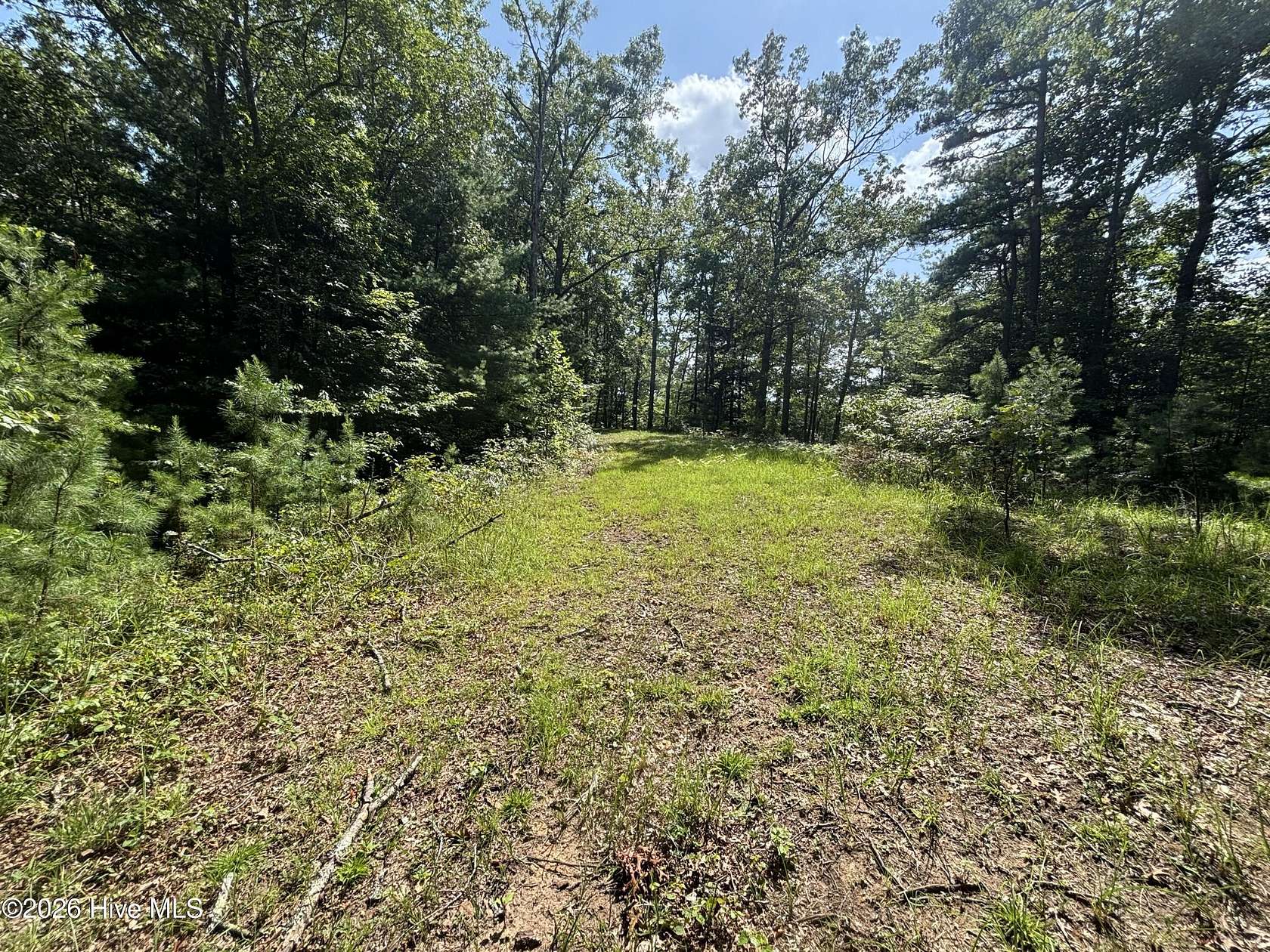 1.3 Acres of Land for Sale in Murphy, North Carolina