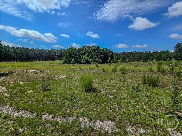 3 Acres of Land for Sale in Sylvania, Georgia