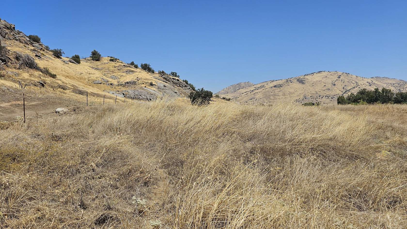 1.49 Acres of Residential Land for Sale in Woodlake, California