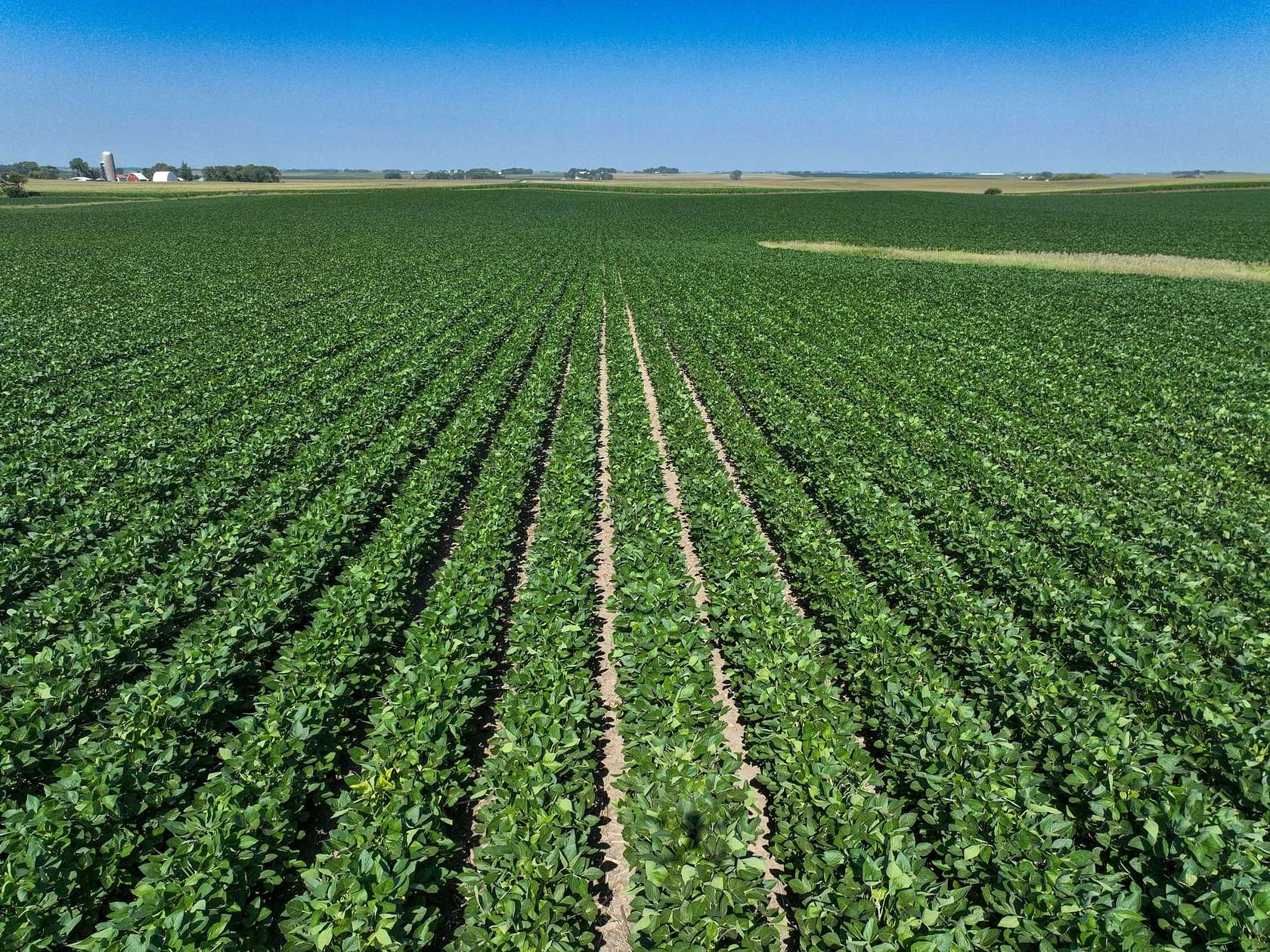 114 Acres of Land for Sale in Graettinger, Iowa
