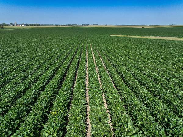 114 Acres of Land for Sale in Graettinger, Iowa