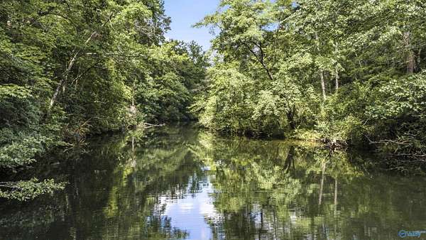 14.5 Acres of Land for Sale in Mentone, Alabama