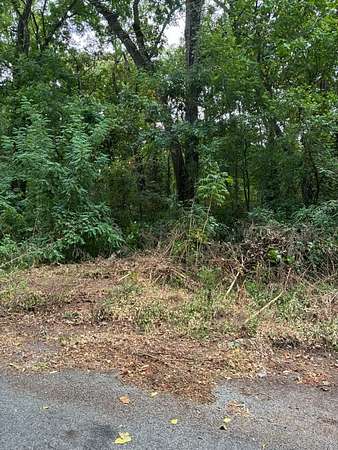 0.51 Acres of Residential Land for Sale in Hardy, Arkansas