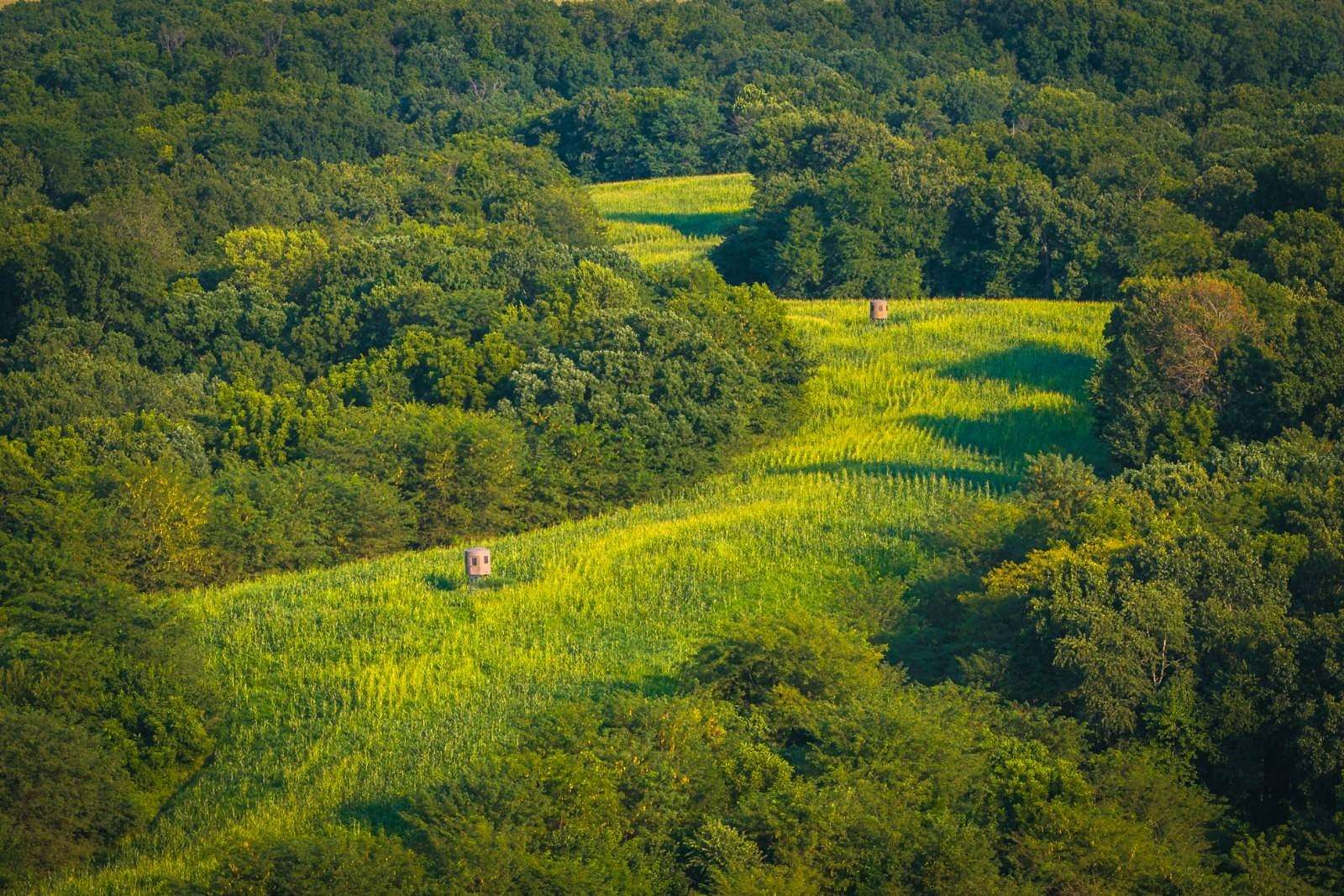 173 Acres of Recreational Land for Sale in Pleasant Hill, Illinois