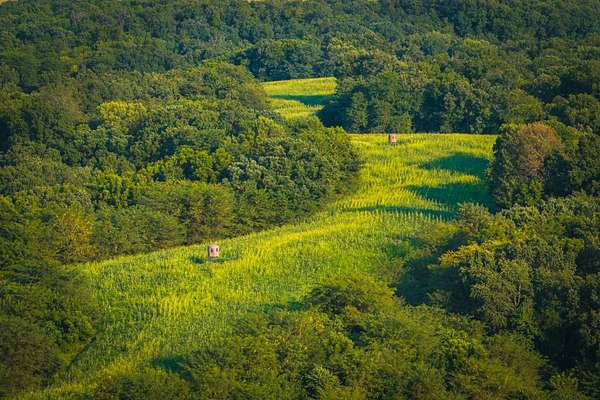 173 Acres of Recreational Land for Sale in Pleasant Hill, Illinois