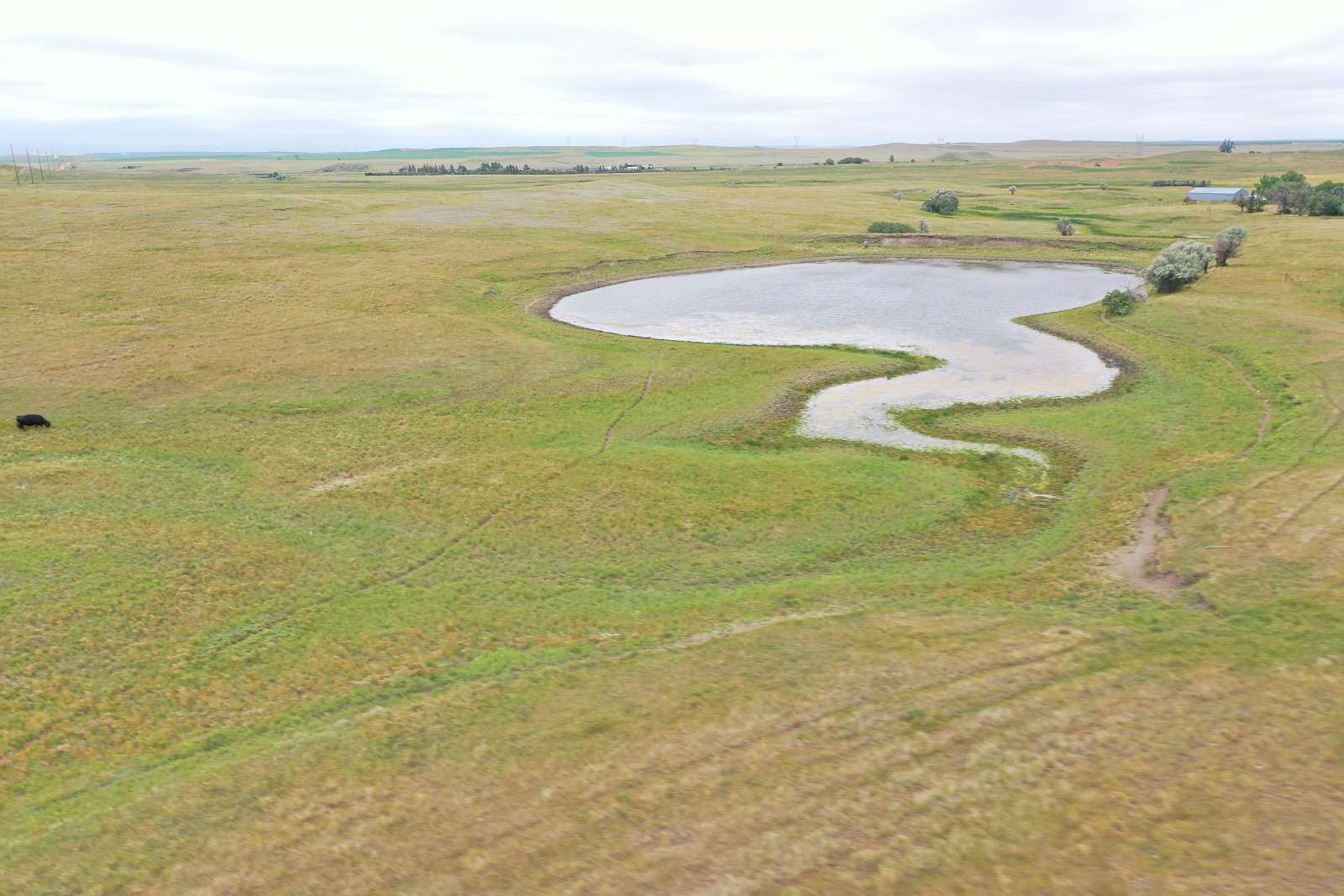 528 Acres of Land for Auction in Belfield, North Dakota