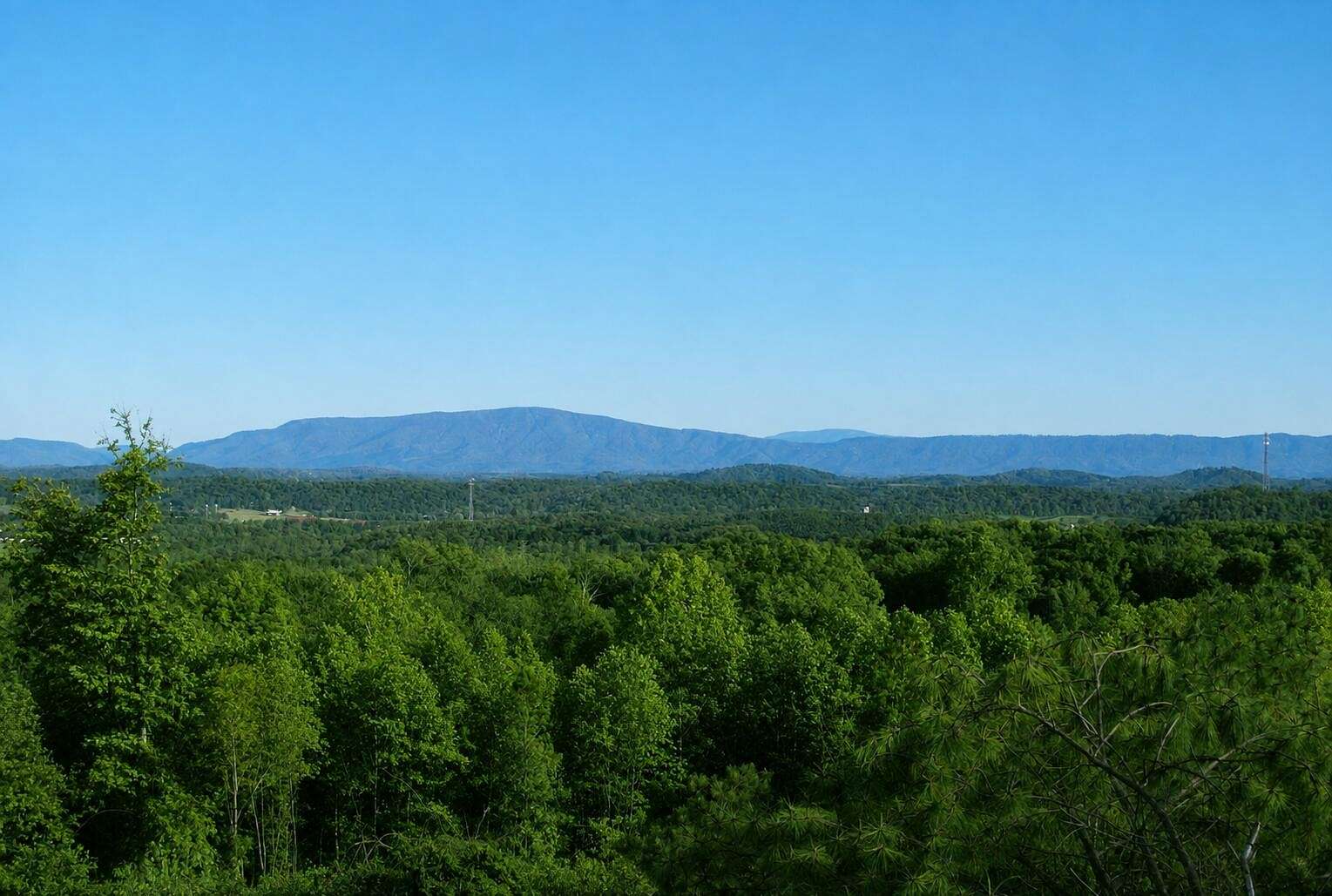 38.5 Acres of Recreational & Residential Land for Sale in Cleveland, Tennessee