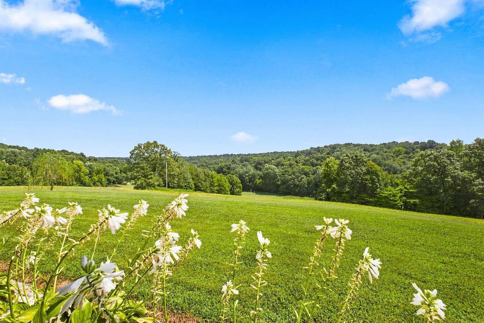 10 Acres of Land with Home for Sale in Vanleer, Tennessee