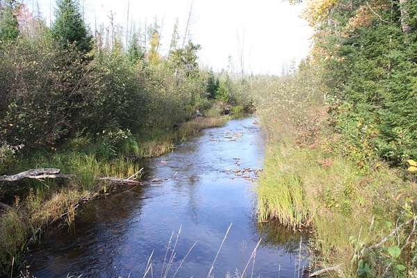 43 Acres of Recreational Land for Sale in Hillman, Michigan
