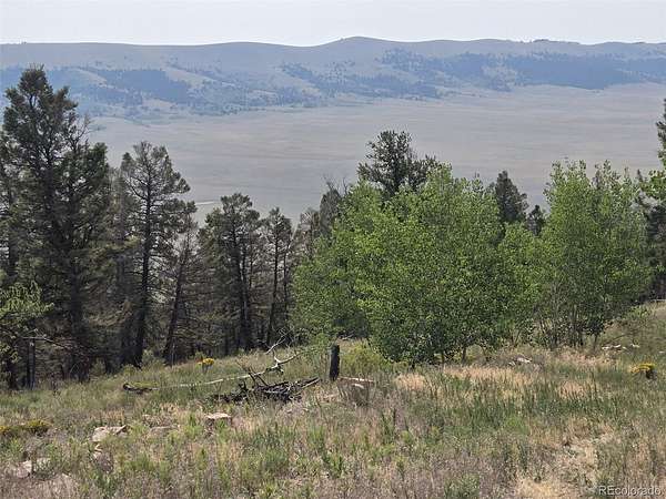 2.5 Acres of Residential Land for Sale in Fairplay, Colorado