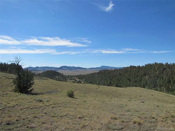 10.6 Acres of Recreational Land for Sale in Hartsel, Colorado