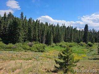 4.13 Acres of Residential Land for Sale in Florissant, Colorado