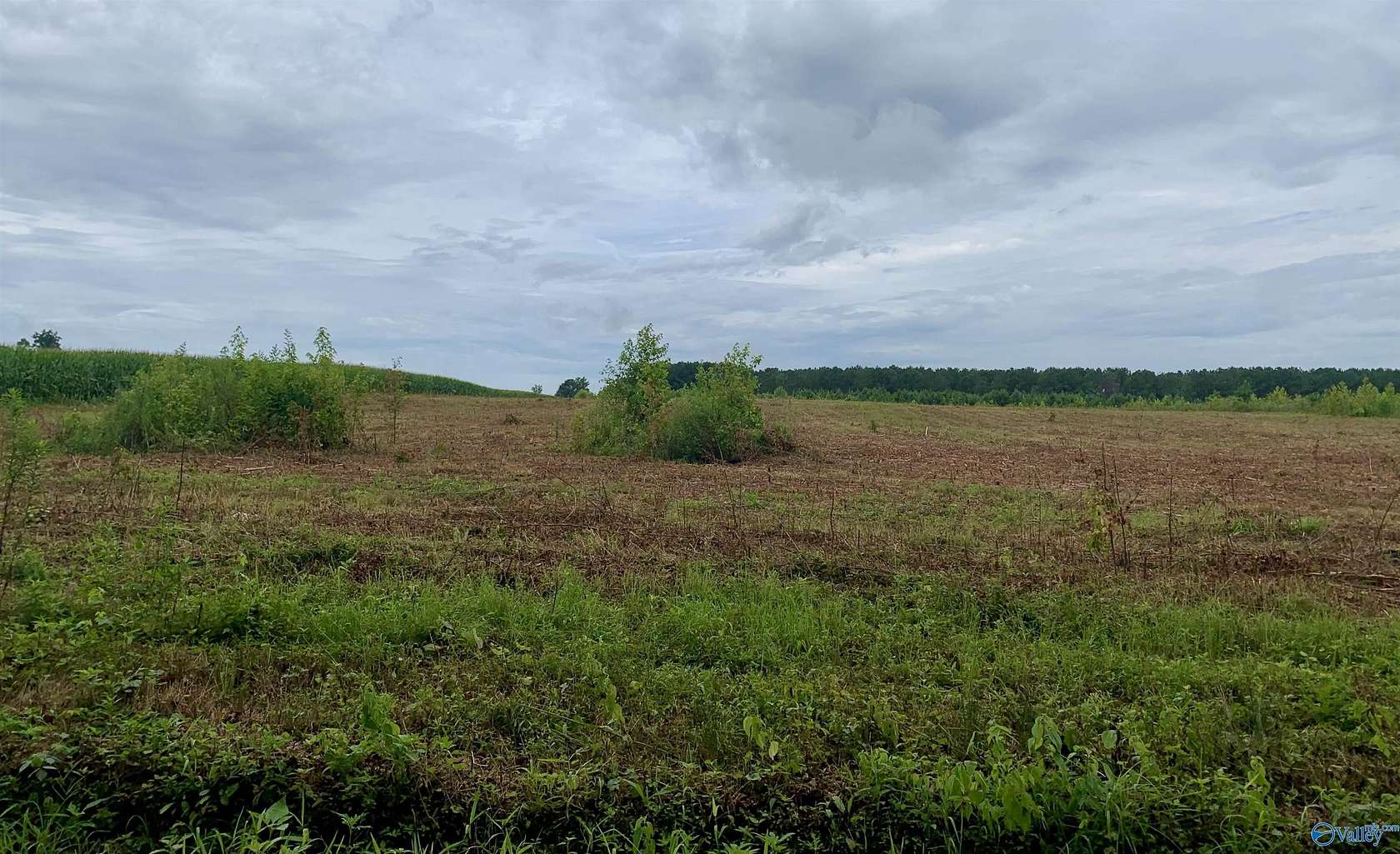 2 Acres of Land for Sale in Fort Payne, Alabama