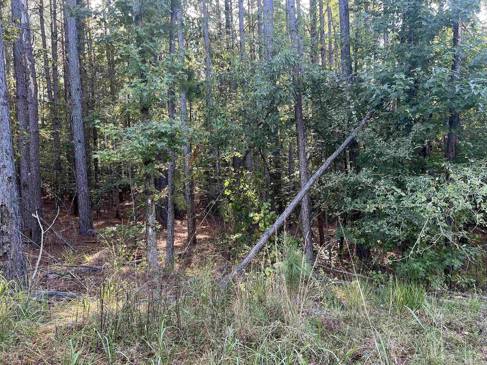 3.7 Acres of Residential Land for Sale in Amity, Arkansas