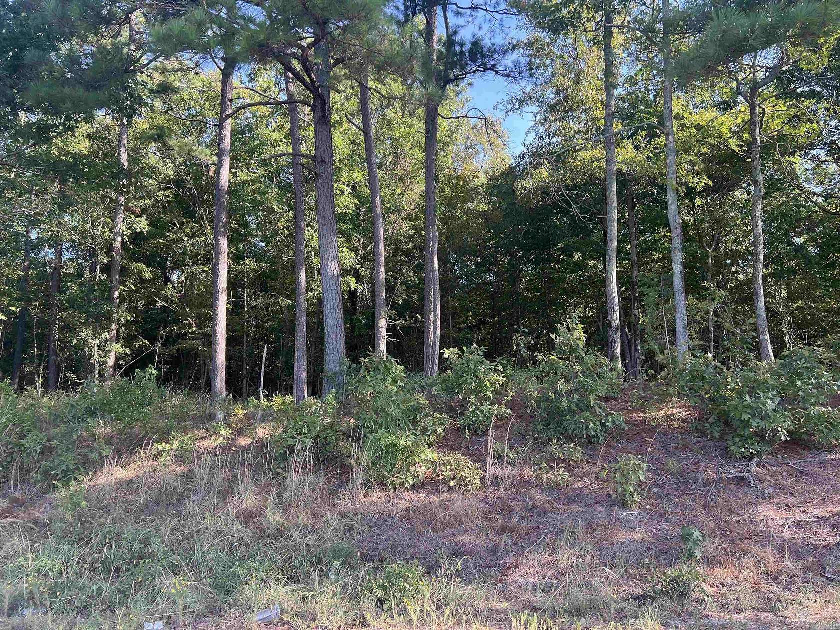 4.59 Acres of Land for Sale in Amity, Arkansas