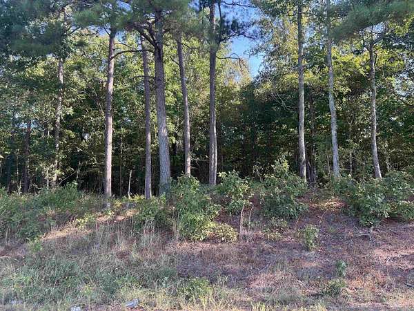 4.59 Acres of Land for Sale in Amity, Arkansas