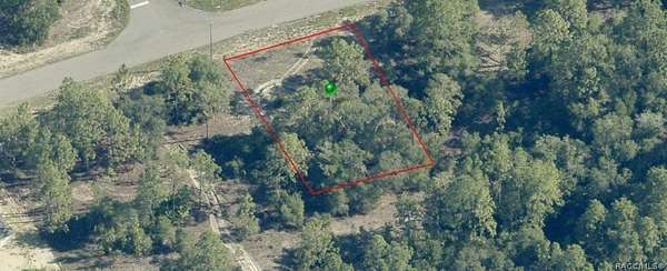 0.23 Acres of Residential Land for Sale in Dunnellon, Florida