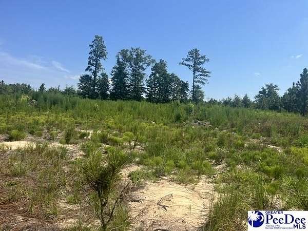 11.4 Acres of Recreational & Residential Land for Sale in Hartsville, South Carolina