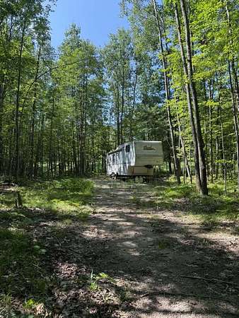 10 Acres of Recreational Land for Sale in Lincoln, Michigan