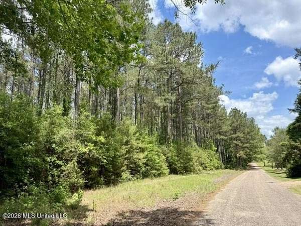 92 Acres of Recreational & Residential Land for Sale in Tylertown, Mississippi