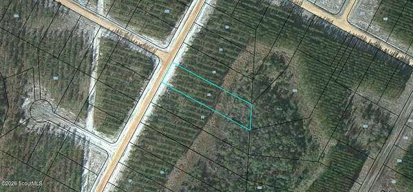 0.5 Acres of Land for Sale in Waynesville, Georgia