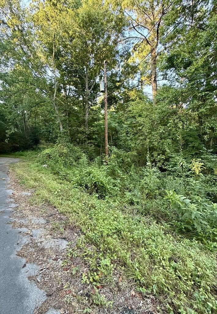 Residential Land for Sale in Chatsworth, Georgia