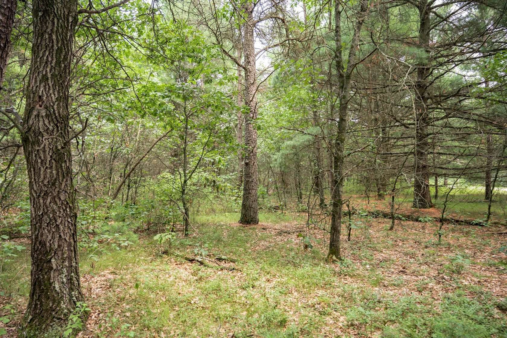 1.55 Acres of Residential Land for Sale in Necedah, Wisconsin