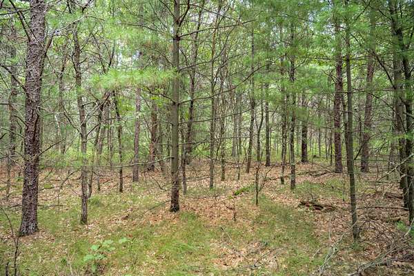 1.55 Acres of Residential Land for Sale in Necedah, Wisconsin