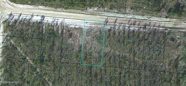 0.5 Acres of Land for Sale in Waynesville, Georgia